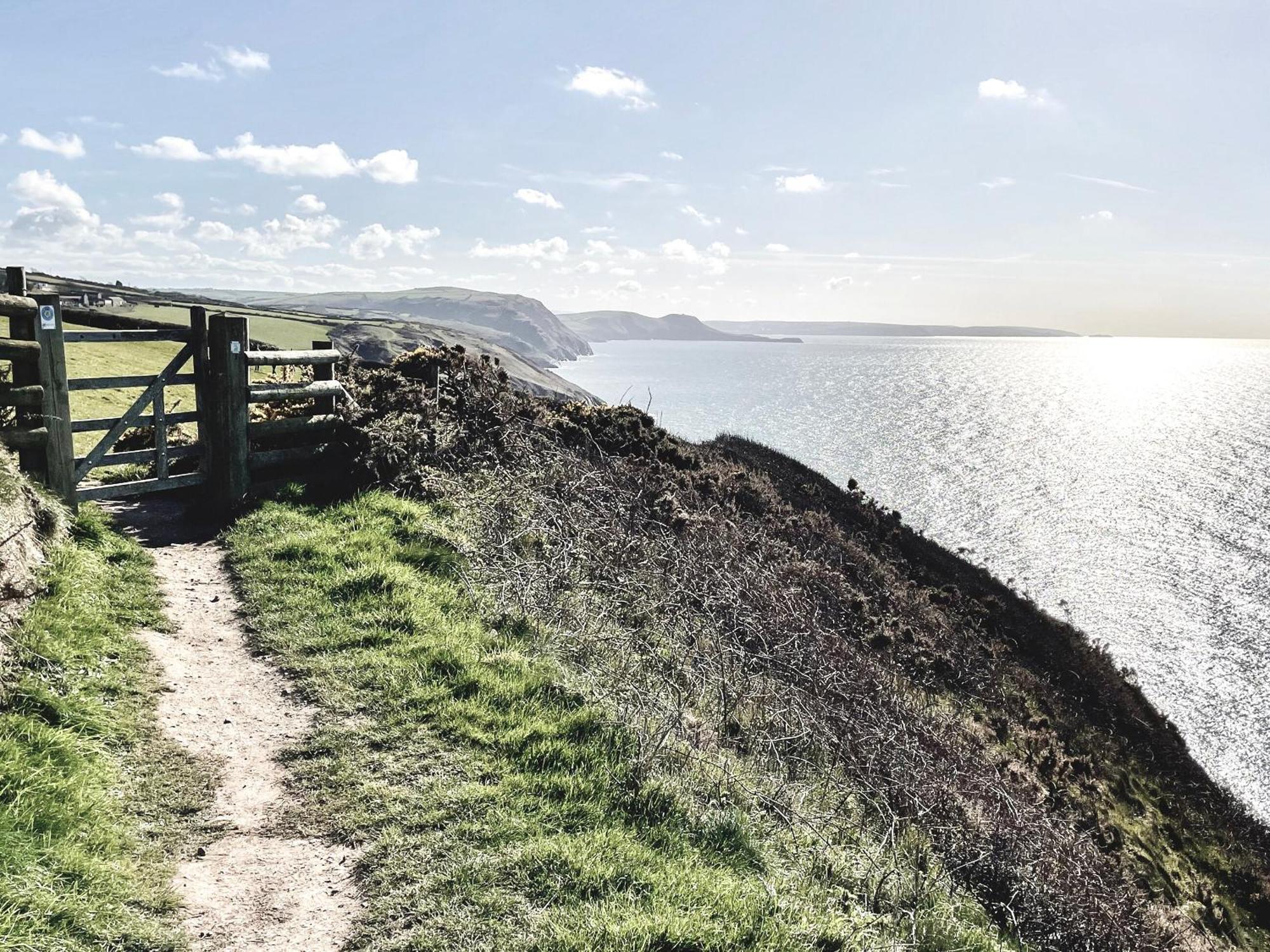 Seascape New Quay (Ceredigion) Exterior foto